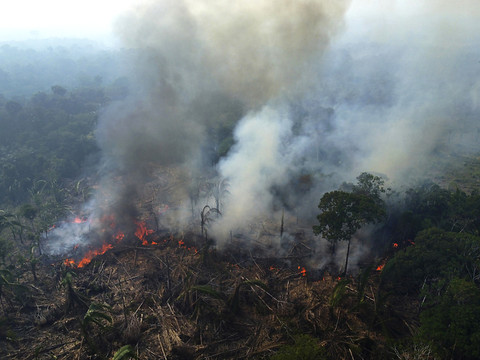 Première hausse en 15 mois de la déforestation en Amazonie