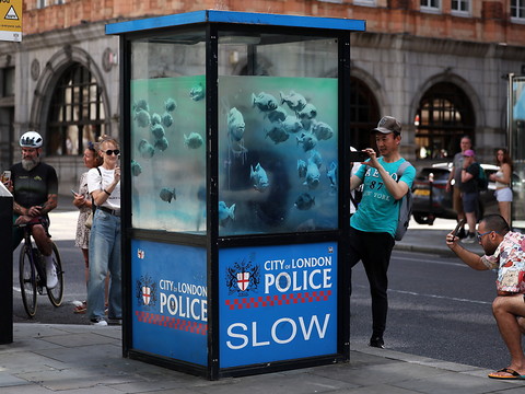 Des piranhas concluent une semaine d'oeuvres animalières de Banksy