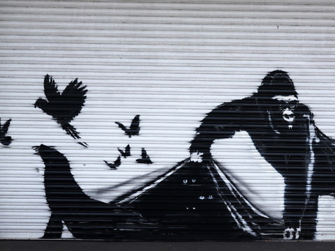 Banksy libère les animaux du zoo à la fin d'une intrigante série