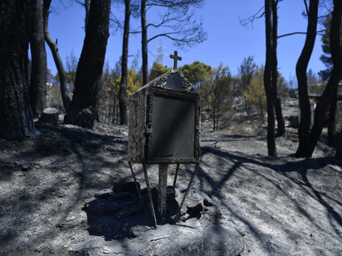 Premiers progrès dans la lutte contre l'incendie près d'Athènes