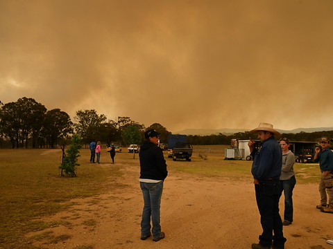 Incendies géants: importantes émissions de CO2 l'an dernier