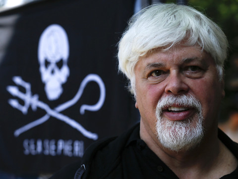 Un tribunal groenlandais prolonge la détention du militant Paul Watson