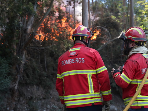 Au moins quatre pompiers tués dans un accident d'hélicoptère