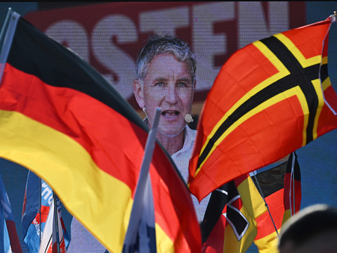 Allemagne: l'AfD remporte pour la première fois un scrutin régional
