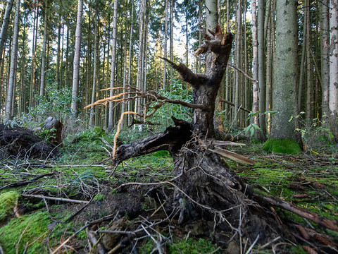 Protection de l'environnement: 2,2 milliards pour 2025-2028