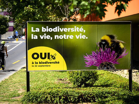Vers un rejet de la réforme LPP et de l'initiative biodiversité