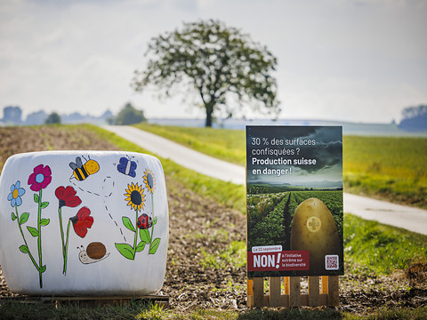 L'initiative biodiversité et la réforme de la LPP seraient rejetées