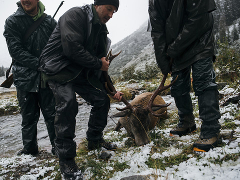 Les chasseurs suisses ont tiré près de 100'000 bêtes l'an dernier