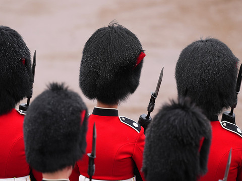 Bonnets de la garde royale britannique: poils d'ours ou synthétique