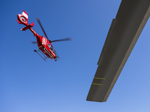 Une femme tuée par la chute de morceaux d'arbre cassés