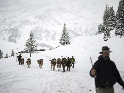 Des flocons sont tombés en-dessous de 1000 mètres par endroits