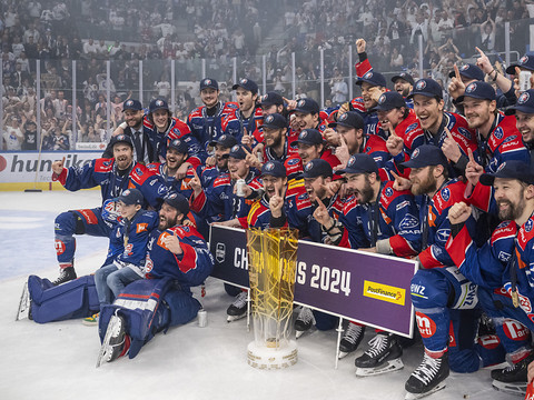 La chasse aux Lions est ouverte