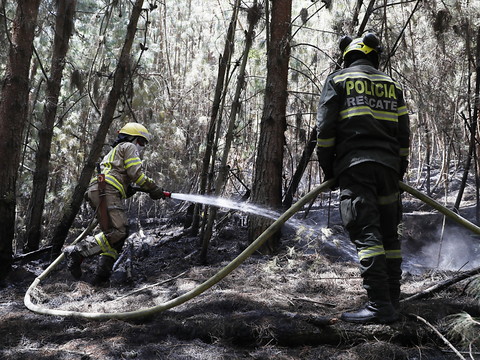 Les feux de forêt en Colombie s'étendent à sept départements