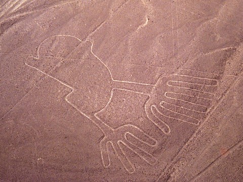 Lignes de Nazca: nouveaux géoglyphes découvertes grâce à l'IA