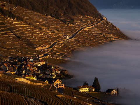 Les prix des logements en propriété continuent d'augmenter