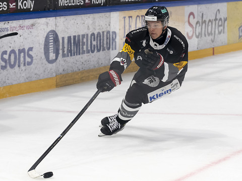 Champions Hockey League: Fribourg retrouve des couleurs