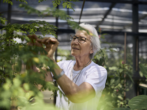 Une nonne brésilienne lauréate du Prix Nansen cette année