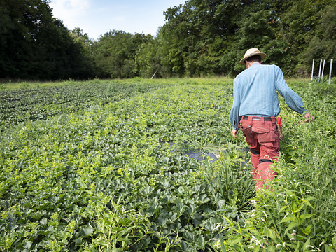 Les agriculteurs manifestent contre les mesures d'économies