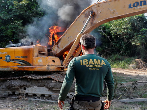L'exploitation illégale de bois en hausse en Amazonie