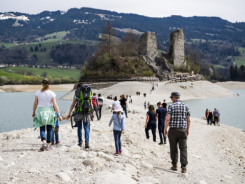 Rejet de l'initiative pour la sauvegarde du lac de la Gruyère (FR)