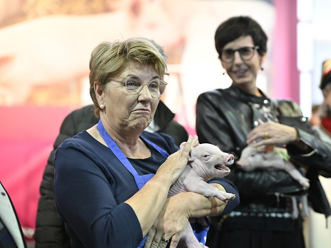 Viola Amherd a inauguré la 81e foire agricole Olma à St-Gall