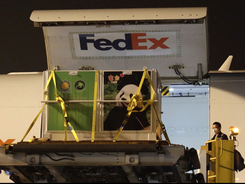 Washington accueille deux nouveaux 