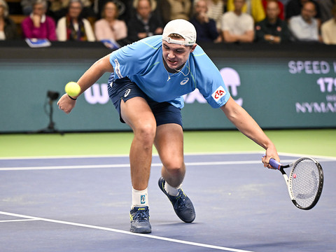 Stricker éliminé par Dimitrov en quart de finale