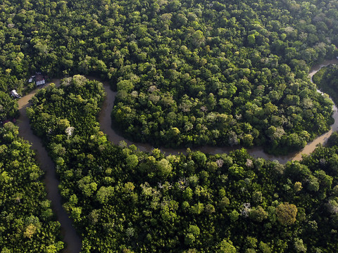 Colombie: 361 défenseurs de l'environnement assassinés en six ans