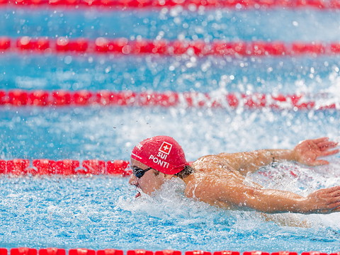 Noè Ponti à nouveau vainqueur en 50 m papillon