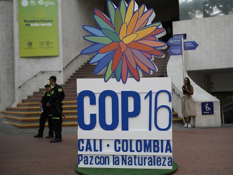 COP16: fonds mondial biodiversité porté à 400 millions de dollars