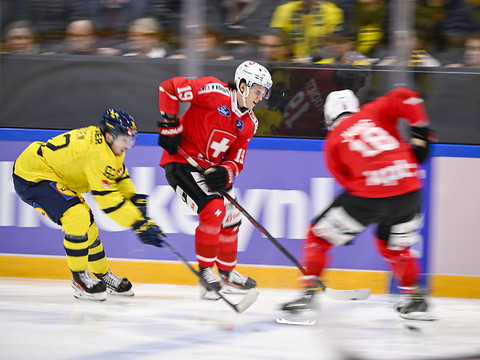 Deux néophytes appelés par Patrick Fischer