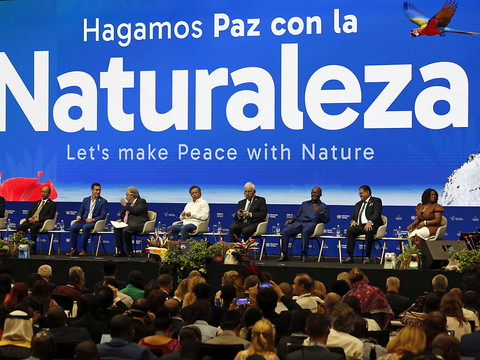 La COP16 sur la biodiversité se termine sur un échec
