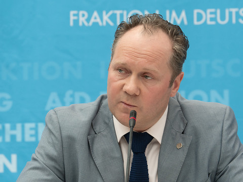 Des eurodéputés d'extrême droite célèbrent la victoire de Trump