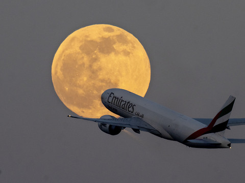 Emirates annonce un bénéfice semestriel de 2,5 milliards de dollars