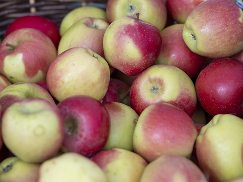 FAO: la mauvaise alimentation coûte 8000 milliards par an