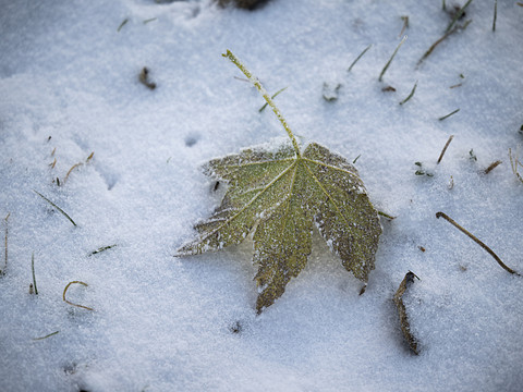 La première neige est attendue en plaine mercredi