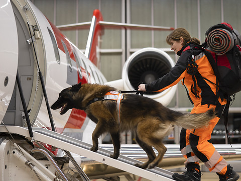 L'équipe suisse de chiens de recherche apporte son aide à Valence