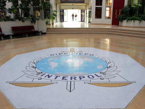 Opération record d'Interpol contre les arnaques en ligne