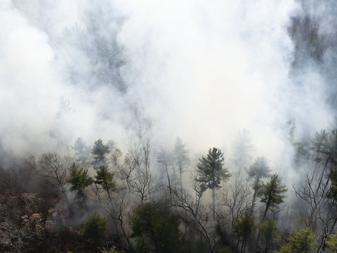 La pollution due aux feux est liée à 1,5 million de décès par an