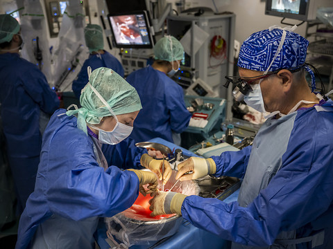 Le nombre de transplantations atteint des records en 2023 en Suisse