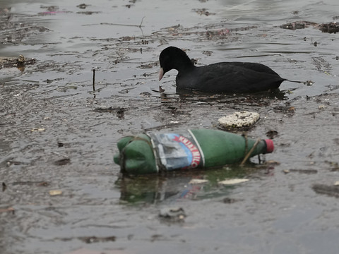 Pollution plastique: échec des négociations à Busan