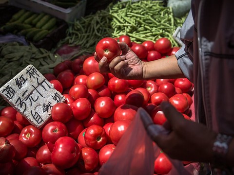 Des marques de concentré de tomates liées au travail forcé en Chine