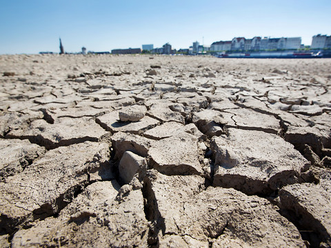 COP16: les sécheresses coûtent près de 300 milliards d'euros par an