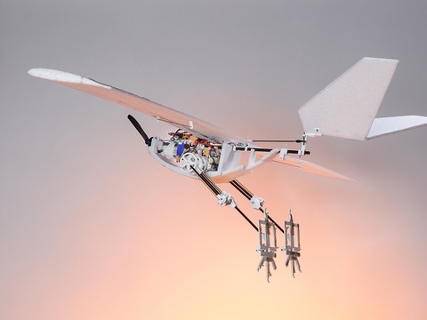 EPFL: un robot oiseau qui saute pour s'envoler