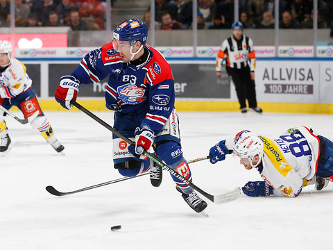 Zurich Lions: Lammikko et Fröden s'engagent sur le long terme