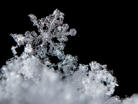 Le vent modifie la composition des flocons de neige