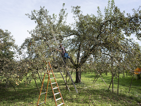 Le National veut plus d'argent pour l'agriculture