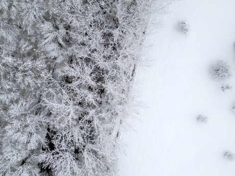 Les stations alpines couvertes d'or blanc pour Noël
