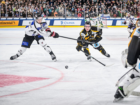 Une victoire précieuse pour Fribourg-Gottéron