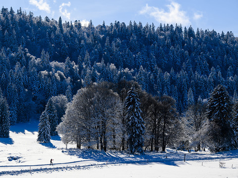 Ski de fond: l'accès aux pistes gratuit jeudi en Suisse romande
